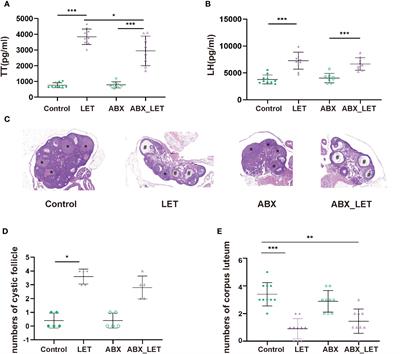 Depletion of gut microbiota influents glucose metabolism and hyperandrogenism traits of mice with PCOS induced by letrozole